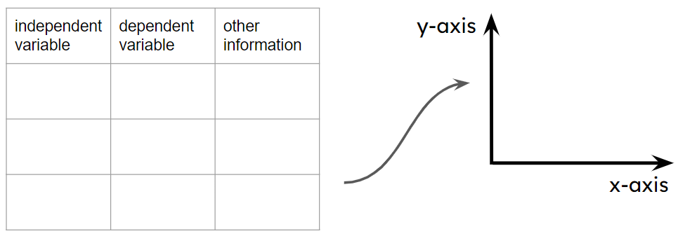 An image in a quiz
