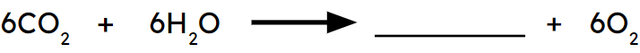 Complete the balanced symbol equation for photosynthesis by adding one molecule of glucose.