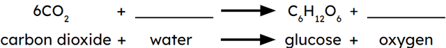 What should be added to represent water in the balanced symbol equation for photosynthesis?