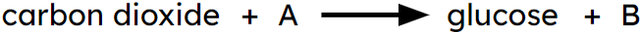 What is reactant A in the word summary of photosynthesis?