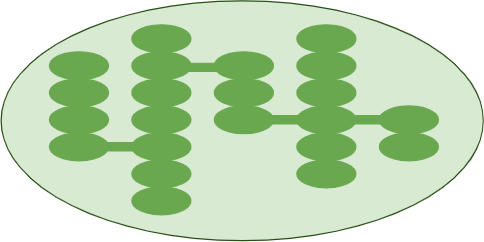 An image in a quiz