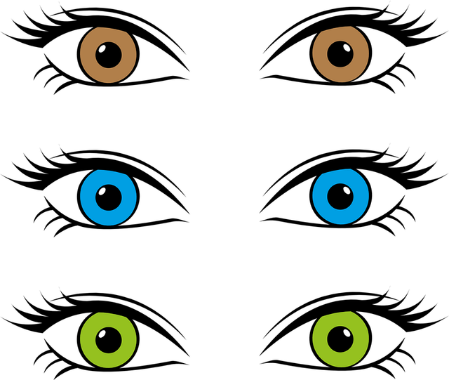 An image in a quiz