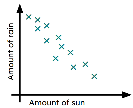 An image in a quiz