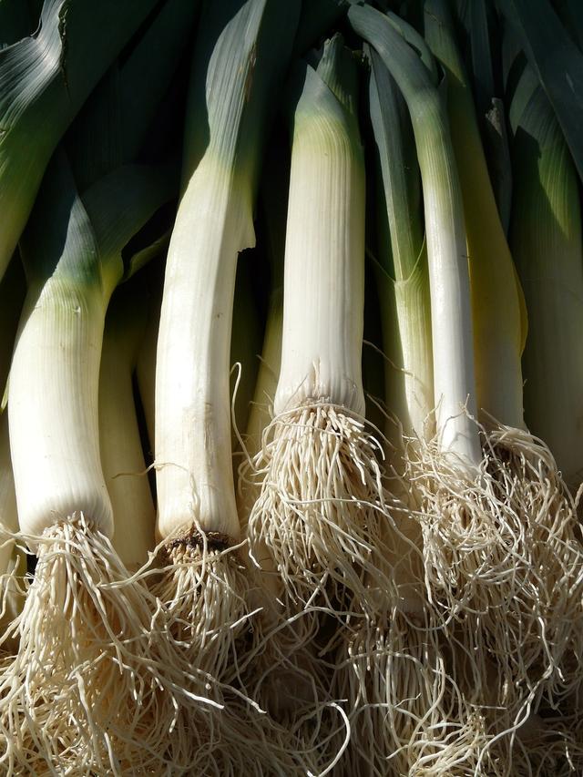 What type of vegetable are leeks?