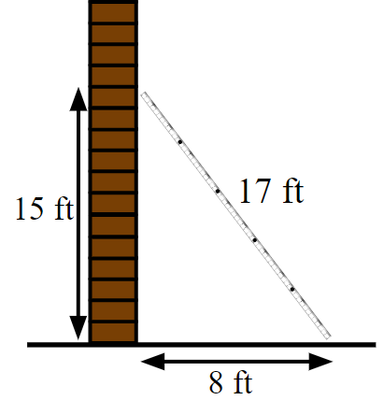 An image in a quiz