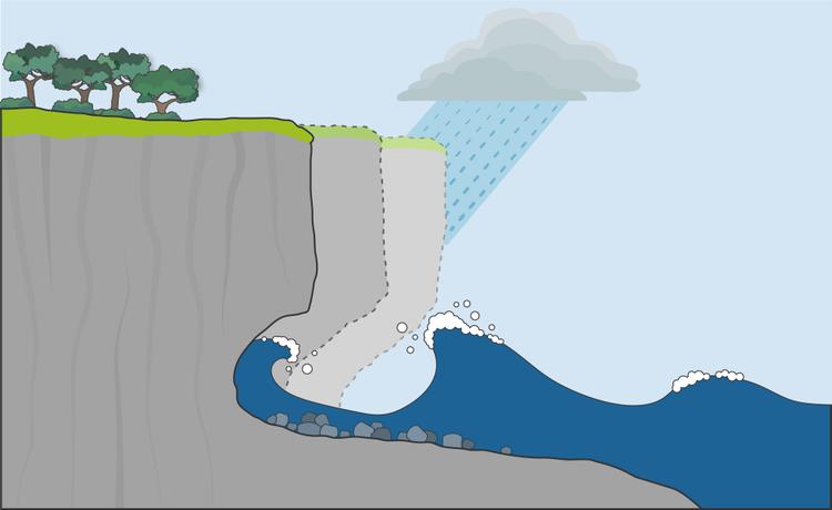 An image in a quiz