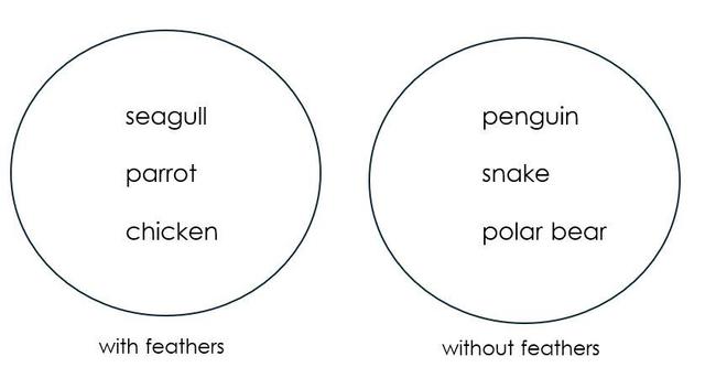 Lucas has sorted some animals by their structure, into those with feathers and those without feathers. Can you spot which animal is in the wrong group?