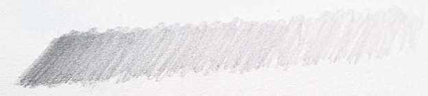 An image in a quiz