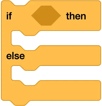 An image in a quiz
