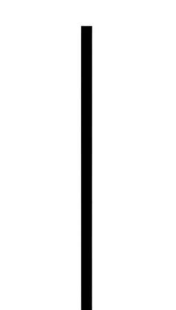 An image in a quiz