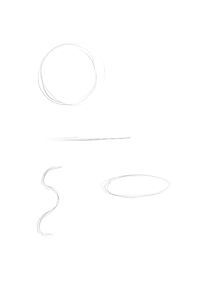 What should you do first when sketching a bird?