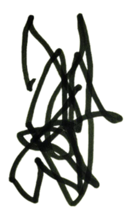 An image in a quiz