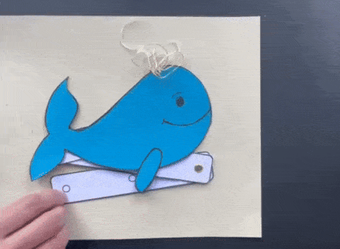 An image in a quiz