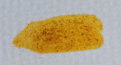 An image in a quiz