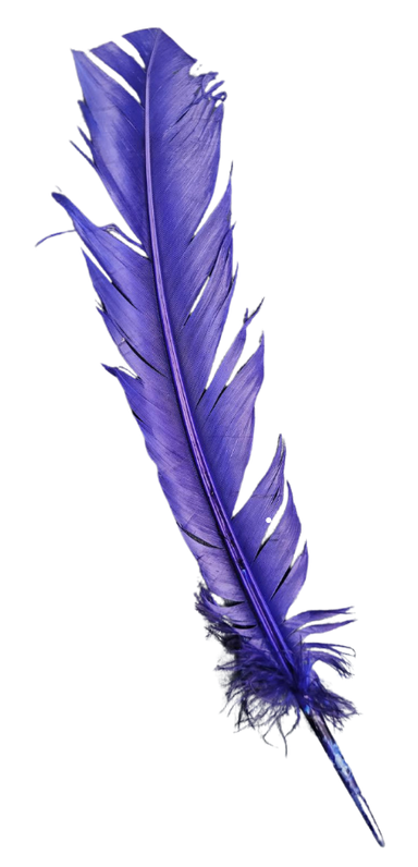 a feather