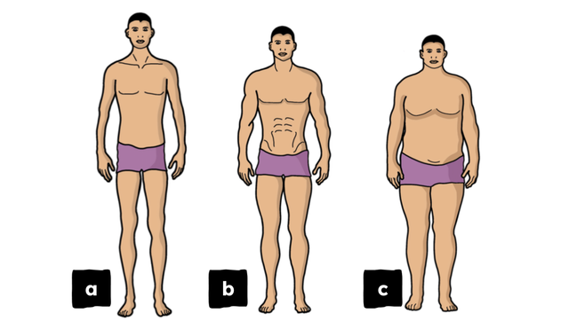 Identify which body shape is classed as obese.