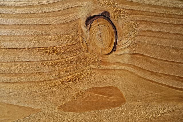 An image in a quiz