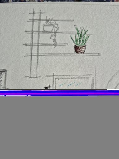 An image in a quiz