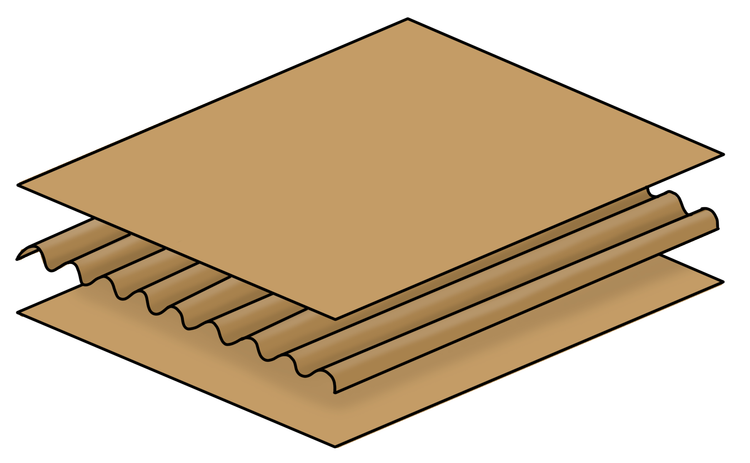 An image in a quiz