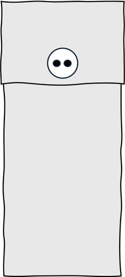 An image in a quiz