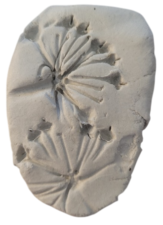 What is this material called?