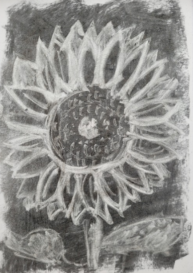 An image in a quiz