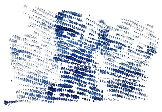 An image in a quiz