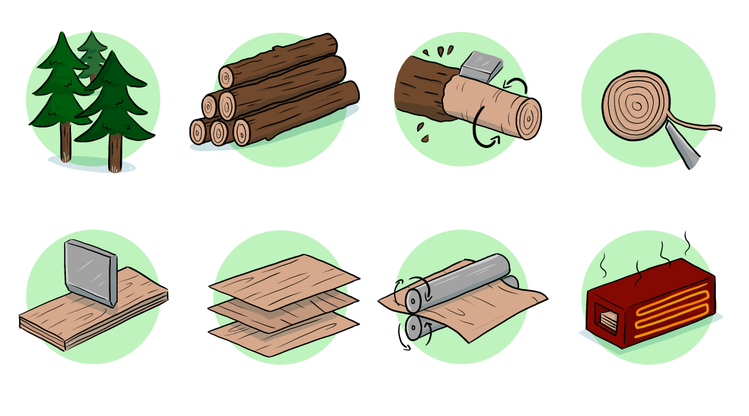 An image in a quiz