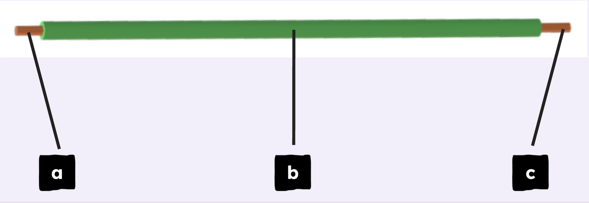 An image in a quiz