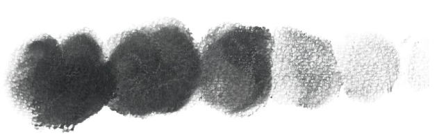 An image in a quiz