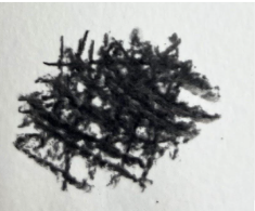 An image in a quiz