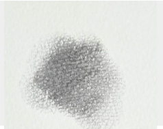 An image in a quiz