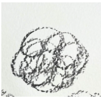 An image in a quiz