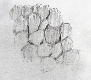 An image in a quiz