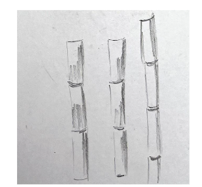 An image in a quiz