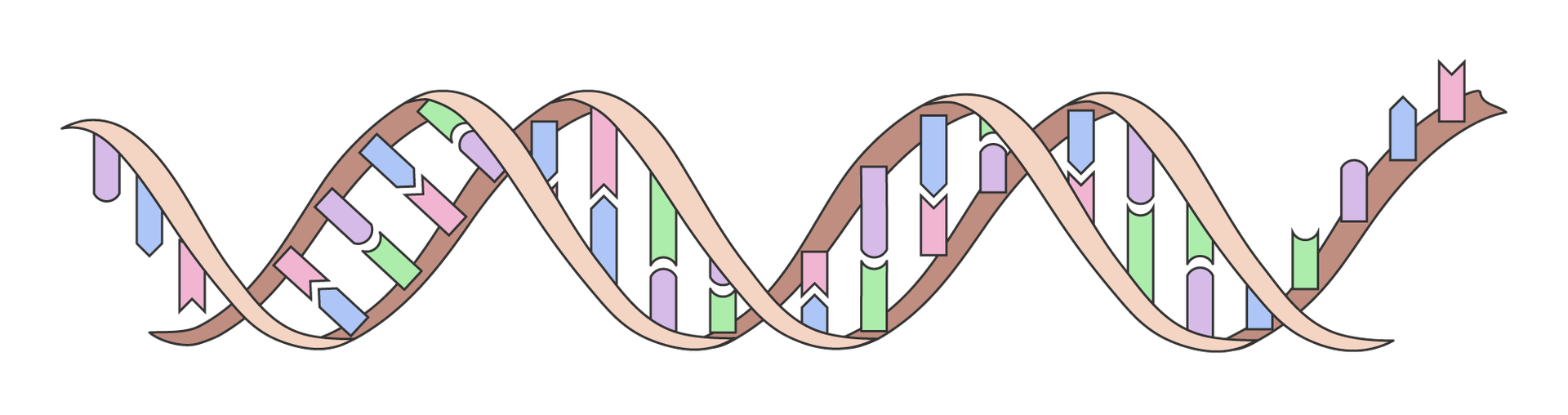 An image in a quiz