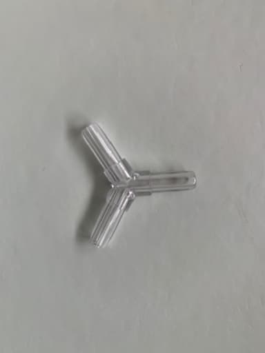 An image in a quiz