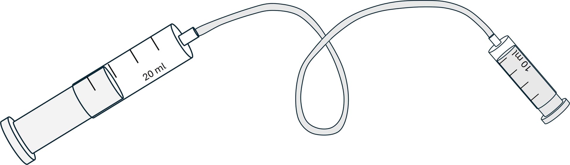 An image in a quiz