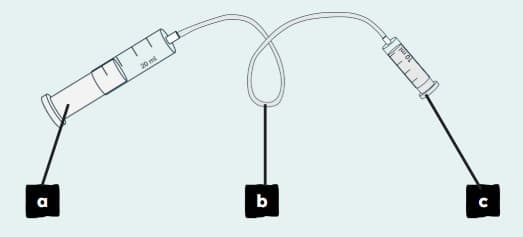 An image in a quiz