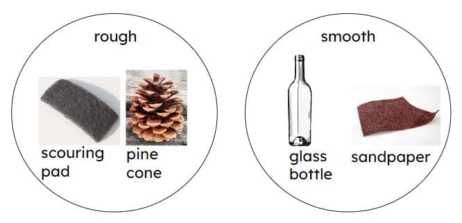 An image in a quiz