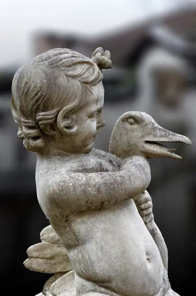 An image in a quiz