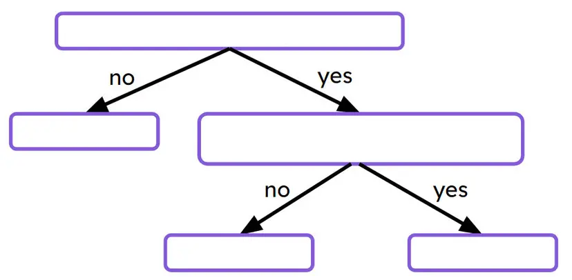 An image in a quiz