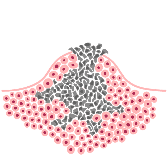 An image in a quiz