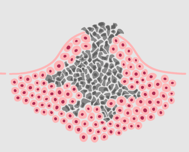 An image in a quiz
