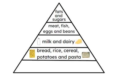 Different amounts of food KS1 | Y2 Science Lesson Resources | Oak ...